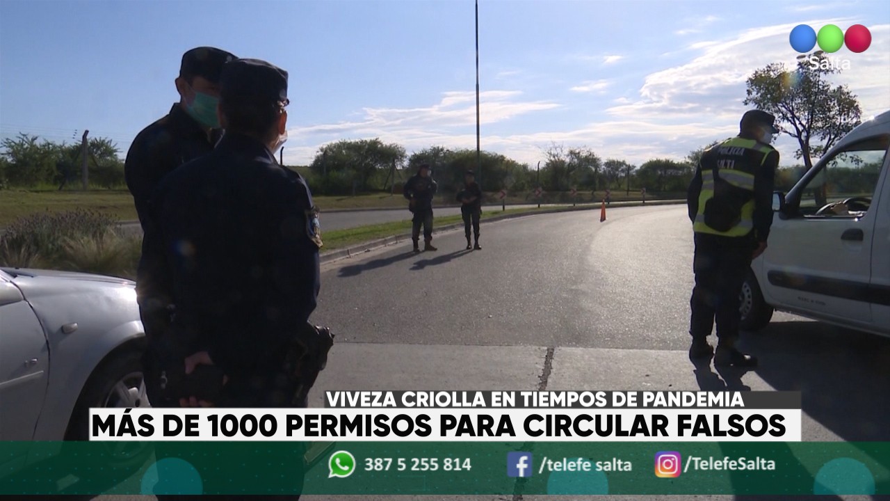 Viveza criolla en Salta: más de 1000 permisos para circular falsos | Información General