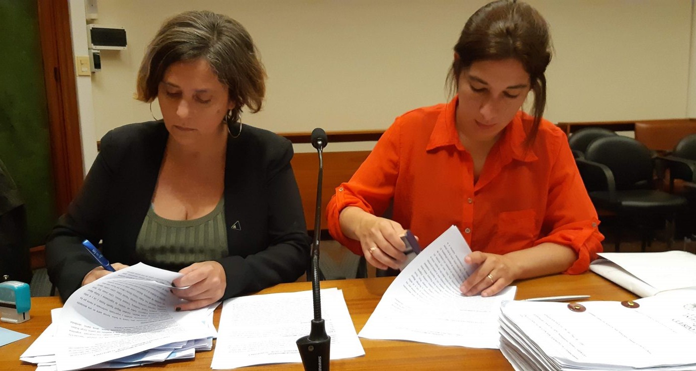 Condenaron a 13 años de prisión al hombre que intentó matar a su expareja con una picana | Judiciales