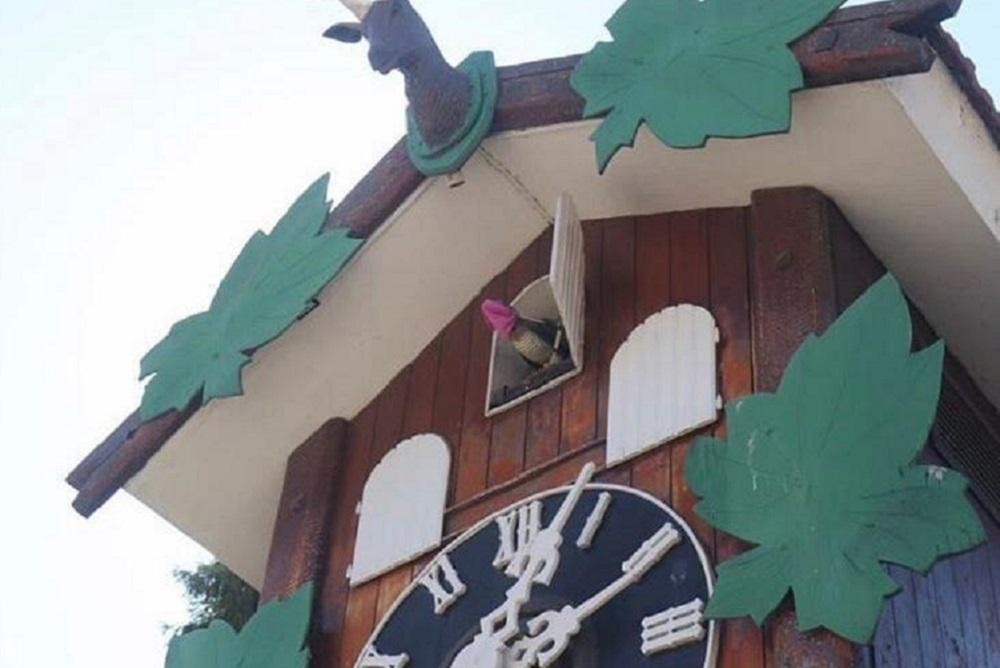 El "Cucú" de Carlos Paz amaneció con barbijo | Información General