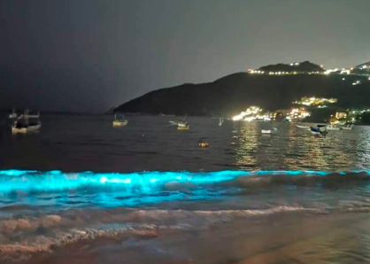 Efecto cuarentena: El mar iluminado en la noche de Acapulco | Información General