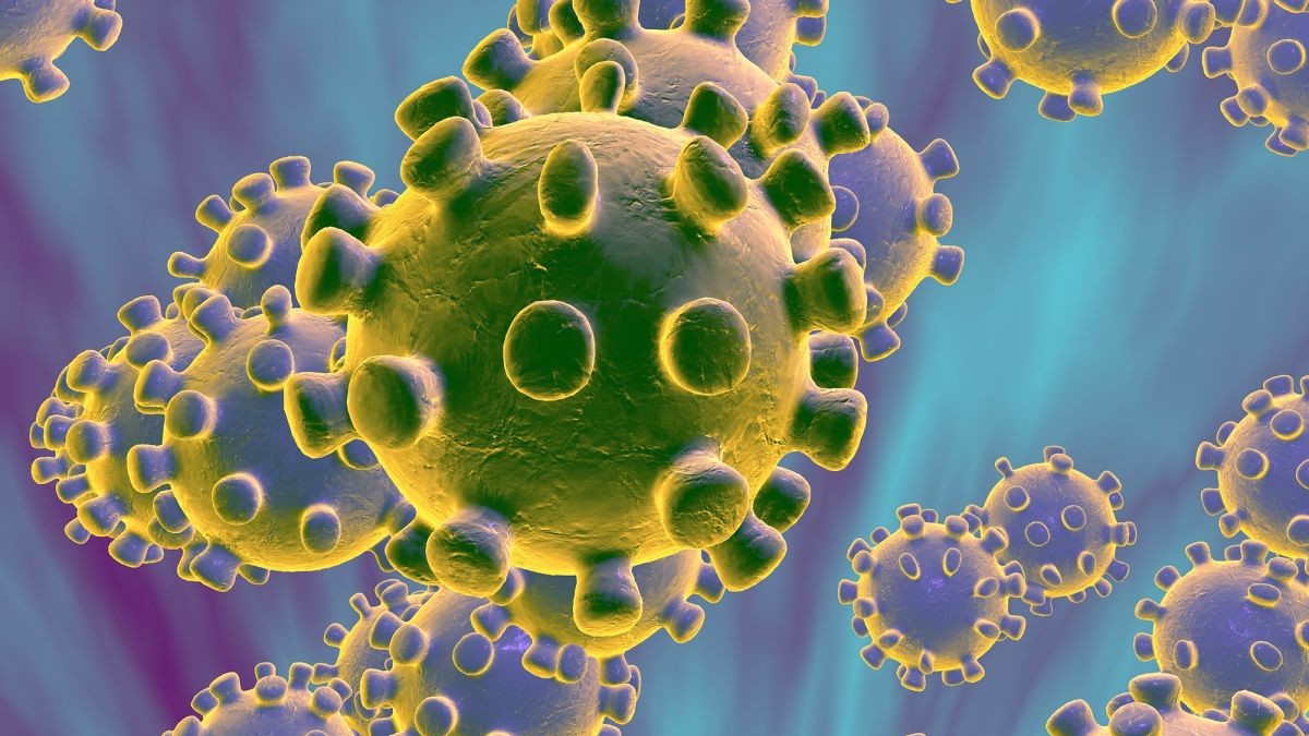 Especialistas advierten que el coronavirus puede atacar también el corazón, los riñones y el cerebro | Información General