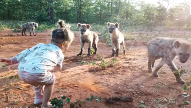 Video: la increíble nena de 2 años que juega con una manada de hienas | Redes