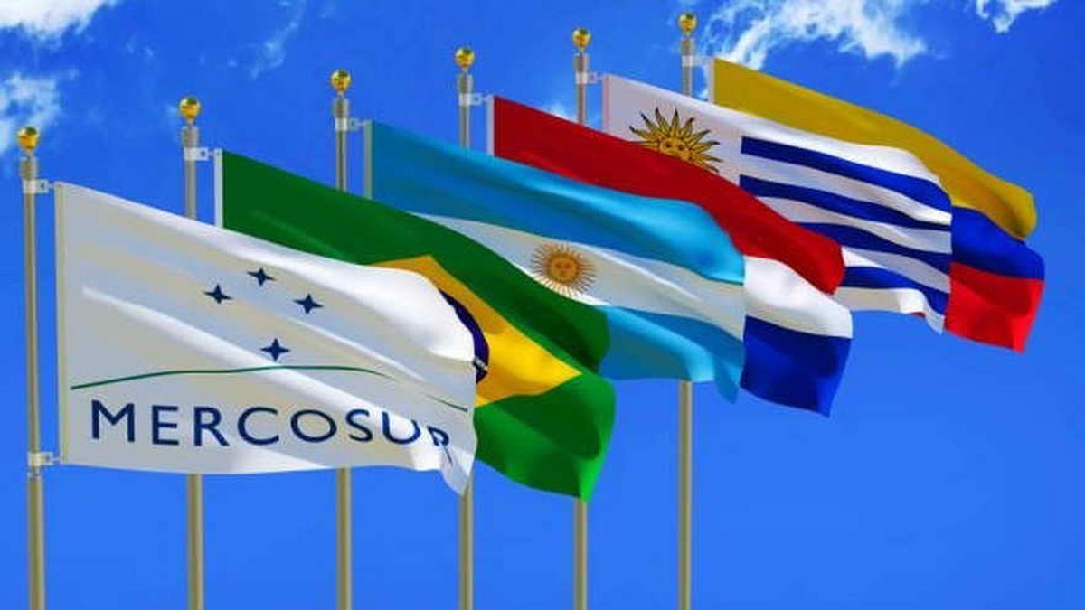 Mercosur: Argentina suspende su participación por diferencias con Brasil, Paraguay y Uruguay | Noticias