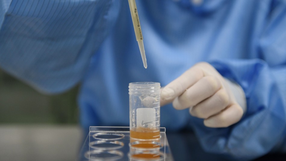 Un laboratorio chino anunció que se prepara para producir una vacuna contra el coronavirus | Información General