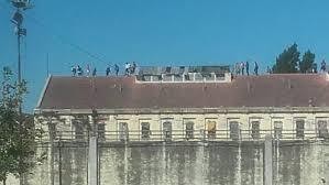 Más de 300 reclusos fueron liberados en Santa Fe desde el inicio de la cuarentena | Noticias