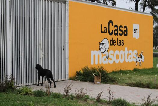 Reclaman la inmediata reapertura del Instituto Municipal de Sanidad Animal | Noticias