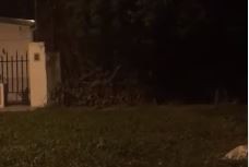 Vecinos aterrorizados denuncian una "casa del horror" en Entre Ríos | Nacionales