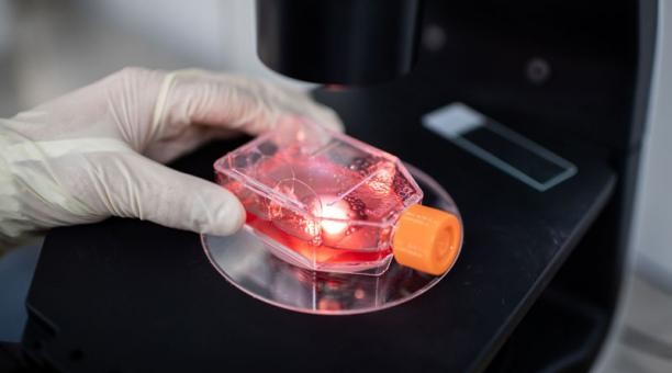 Hallaron coronavirus en el semen de pacientes infectados | Información General