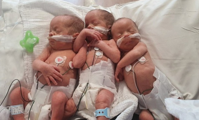 Parto histórico: nacieron trillizos idénticos en Gales | Redes