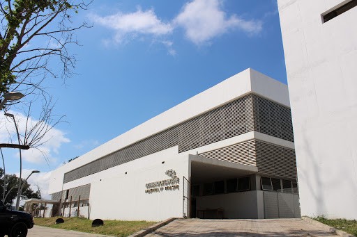 Homicidio: Mataron a un joven de 23 años en el norte de la ciudad | Noticias