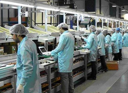 Nueva etapa de la cuarentena: esta semana reabren más de 600 fábricas | Información General