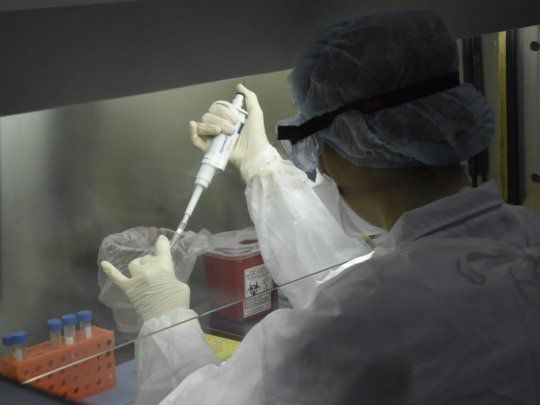 La provincia de Santa Fe sigue sin sumar casos positivos de coronavirus | Noticias