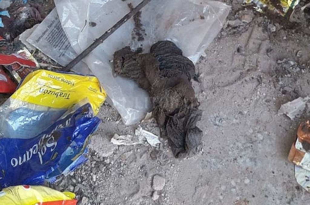 Presos de la cárcel de Coronda tenían una pistola escondida en la cloaca | Noticias