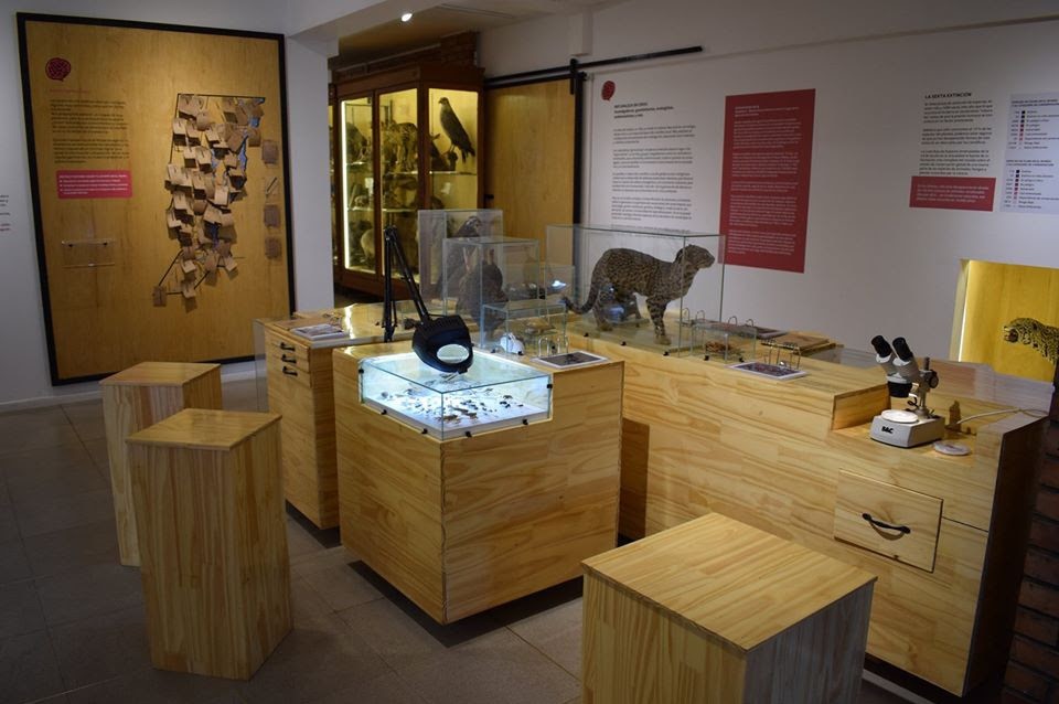 El  Museo de Ciencias Naturales “Florentino Ameghino” cumple 106 años | Noticias