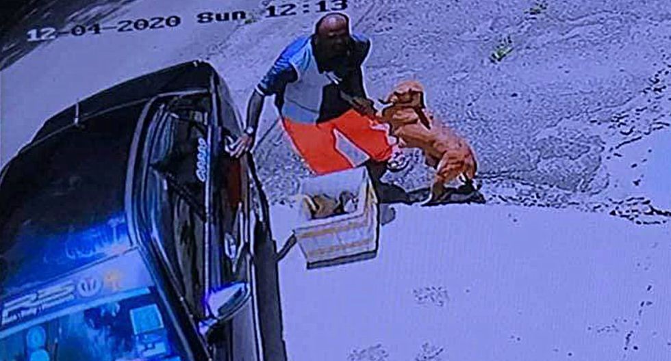 La perra que se abraza a su dueño en el momento de ser abandonada junto a sus cachorros | Redes