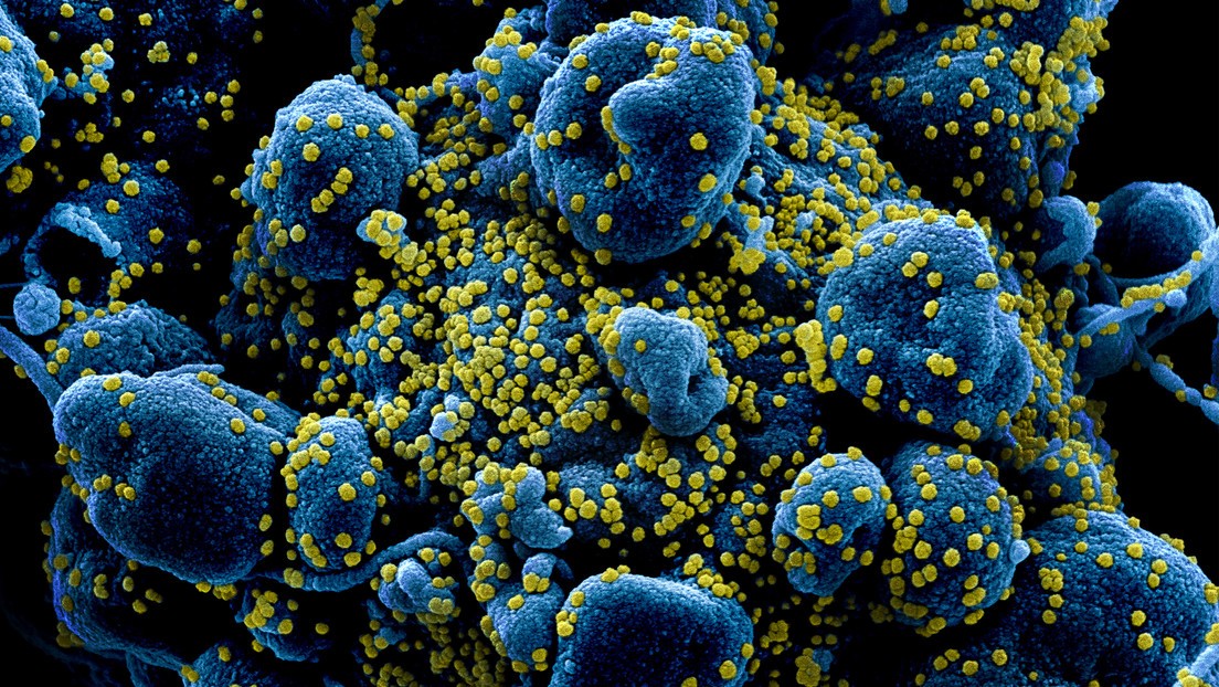 Un estudio indica que el coronavirus tiene una tasa de mortalidad del 1% | Información General