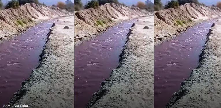 Video: el río de vino tinto que sorprendió a los vecinos de Cafayate | Redes