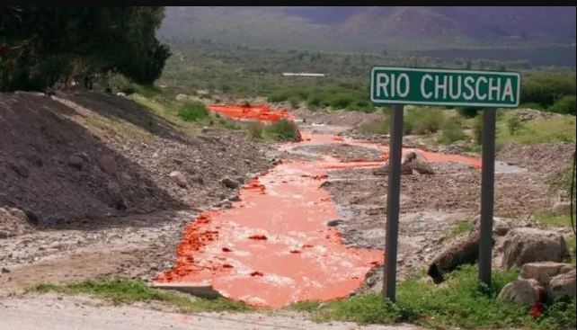 Un "río de vino tinto" sorprendió a los vecinos de Cafayate | Noticias