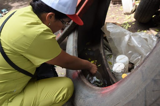 Crece el número de casos de dengue en Jujuy y ya suman cerca de 4.500 | Nacionales