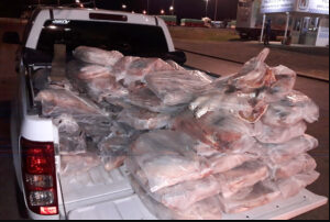 La Justicia admitió tratar un pedido de amparo ambiental colectivo para la veda pesquera | Noticias