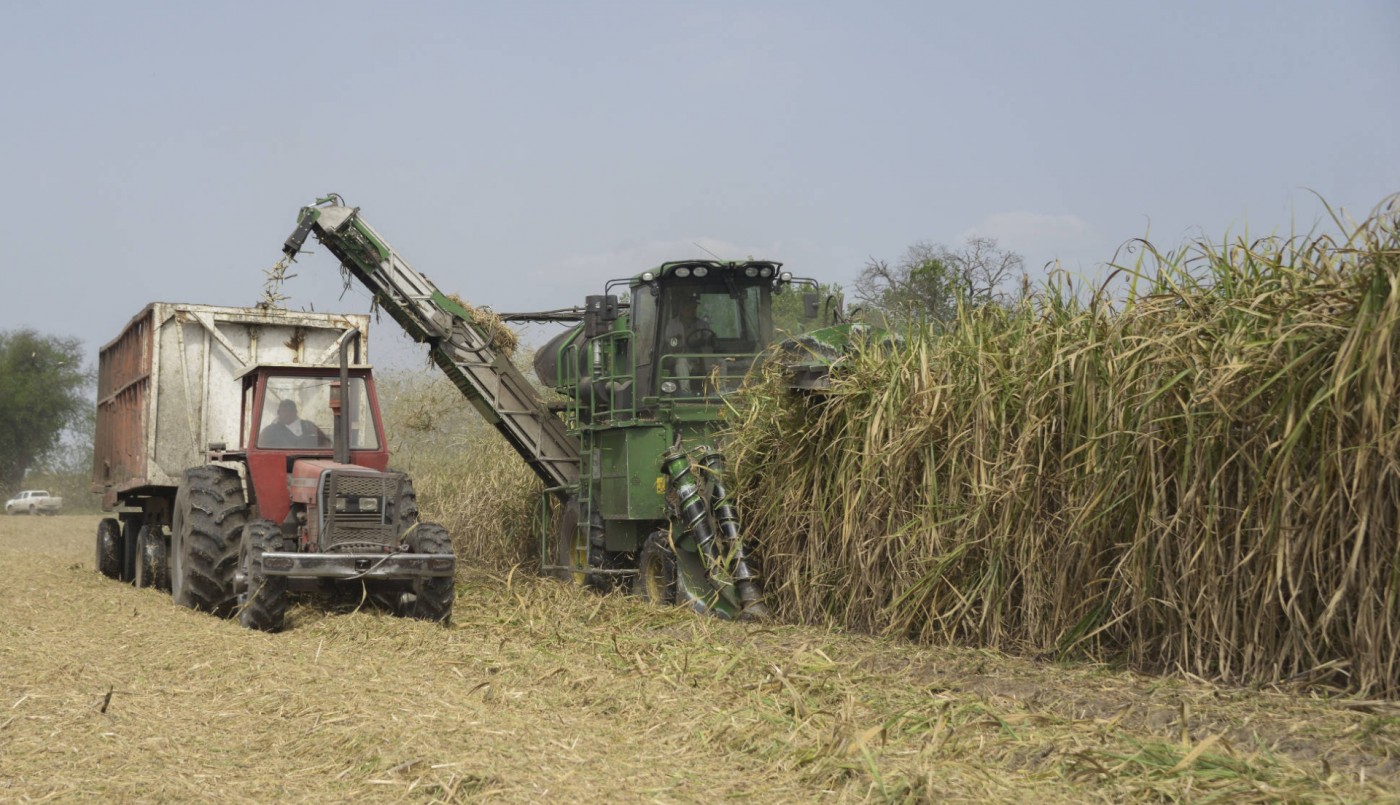 Nuevas medidas del Banco Central para proteger a productores rurales | Noticias