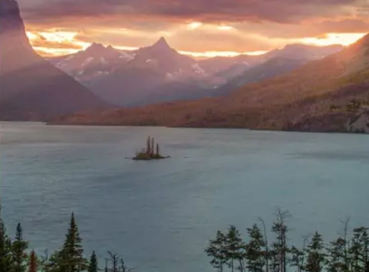 Alertan por un fondo de pantalla que puede dañar los celulares Android | Redes