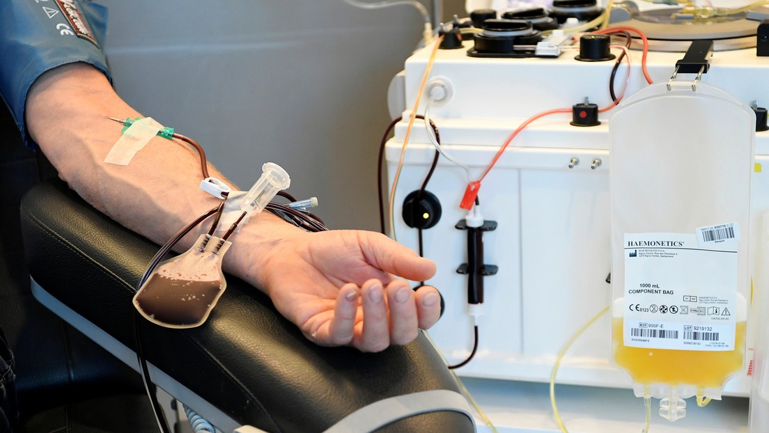 Coronavirus: cada donación de plasma puede salvar "hasta cuatro personas" infectadas | Información General