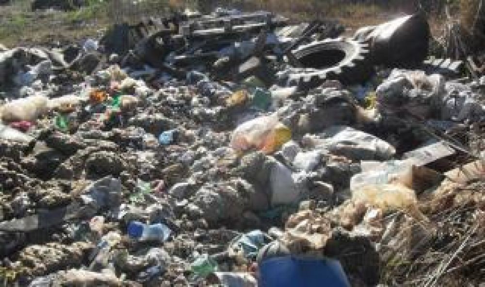 Violaciones al medio ambiente: Argentina deberá responder ante la OEA | Información General