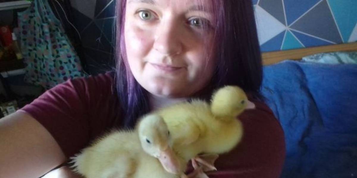Compró huevos en un supermercado, los puso en una incubadora y obtuvo una grata sorpresa | Redes