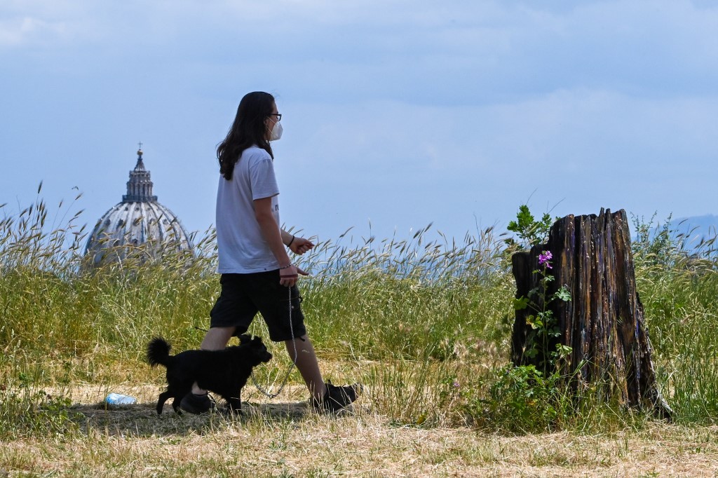 Coronavirus: menores de 20 años tienen la mitad de posibilidades de contagiarse, según nuevo estudio | Información General