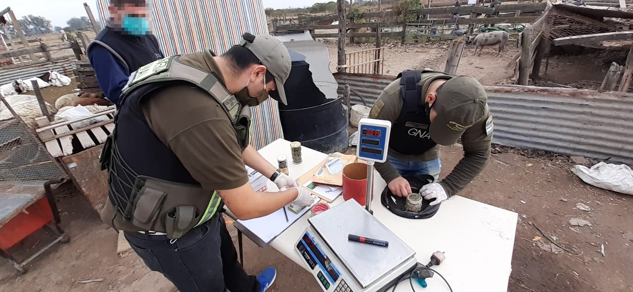 Frontera: varios allanamientos y dos miembros de organización delictiva detenidos | Judiciales