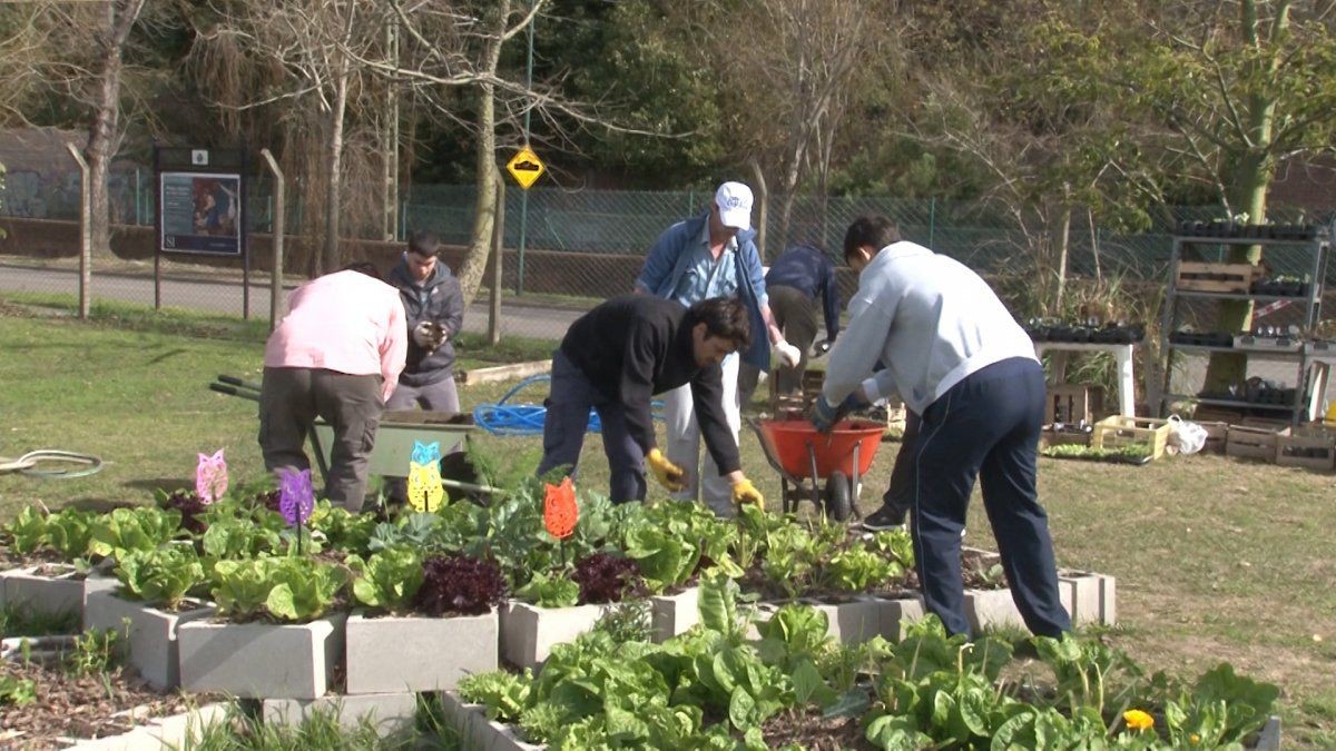 La Plata: Impulsan la creación de huertas comunitarias en espacios públicos y frentes de viviendas | Información General
