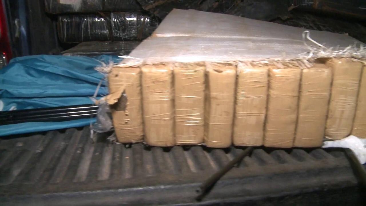 Operativo "aserradero verde": secuestran casi 2 toneladas de marihuana | Información General