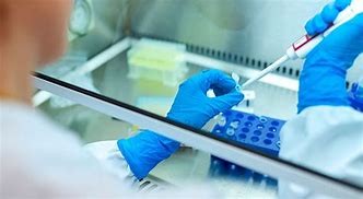 Los dos nuevos casos positivos corresponden a familiares del caso informado el miércoles | Noticias