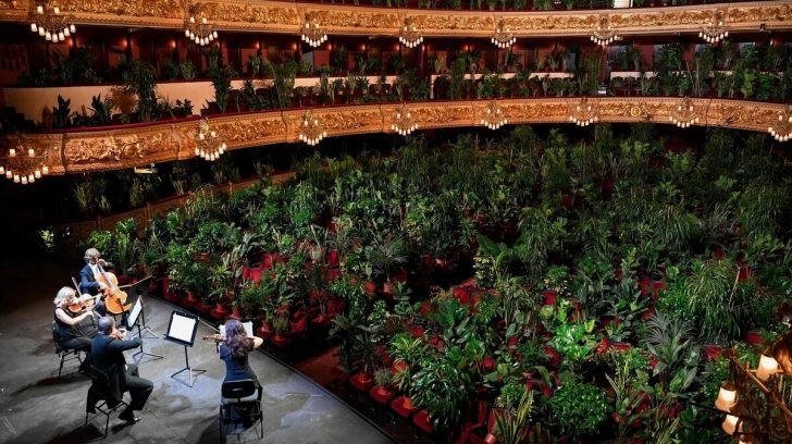 La ópera de Barcelona reabrió con un concierto para 2.300 plantas | Espectaculos