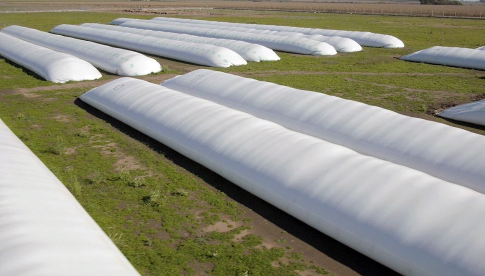 Duro comunicado de la Rural de Rosario por los delitos rurales | Información General