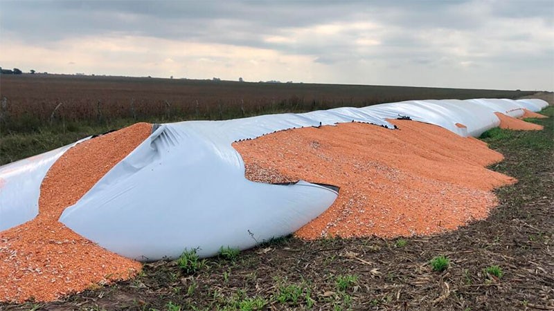 Delitos en el campo: "En tres meses tuvimos 38", denunció la CRA | Información General