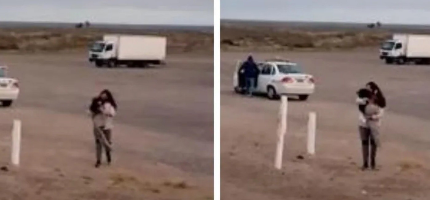 Un perro viajó 450 kilómetros en taxi para encontrarse con sus dueños | Nacionales