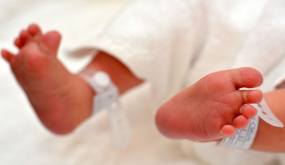 Alerta en un hospital de Mendoza: dos recién nacidos tienen coronavirus y sus madres no | Nacionales