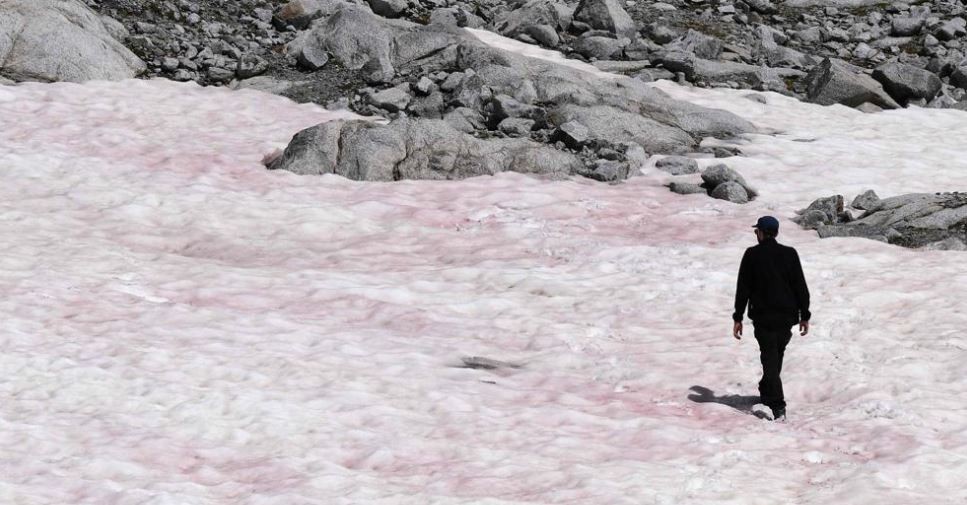 Las razones por las que el glaciar de los Alpes se tiñó de rojo | Redes