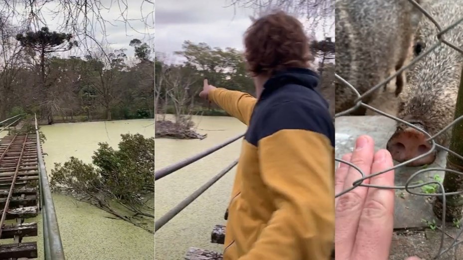 Demoraron a los dos youtubers intrusos que se metieron en el zoo de La Plata | Redes