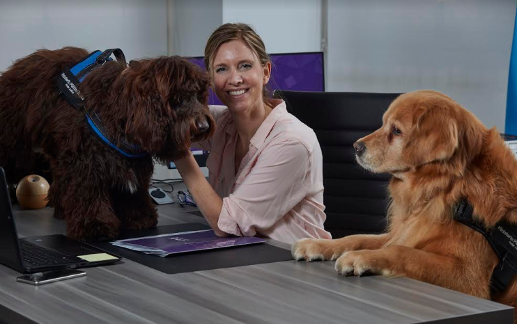 "Brownie" y "Titán": los perros que acompañan a los chicos en las cámara Gesell | Nacionales