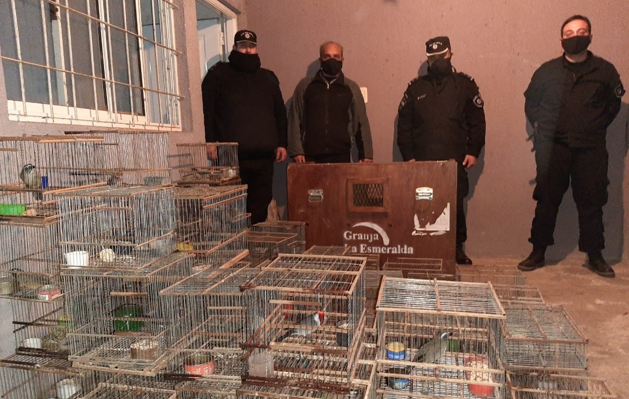 Operativo contra el tráfico de animales: robaron loros en la Granja La Esmeralda y los atraparon | Noticias