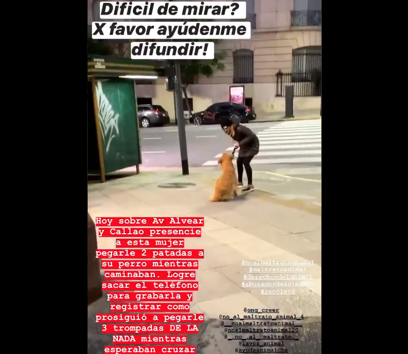 Maltrató a su perro en la calle, la filmaron e intervino la justicia | Redes