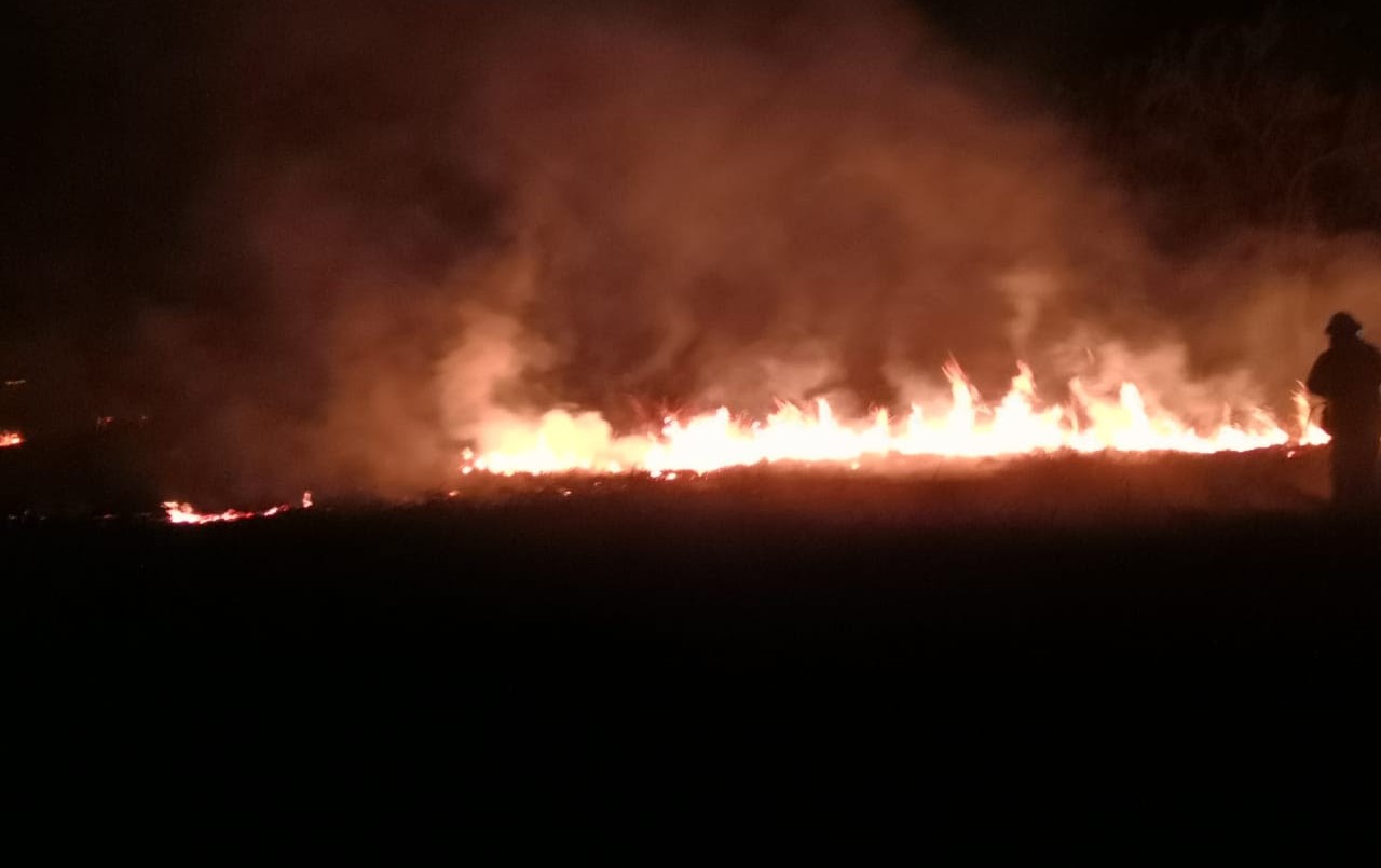 El intendente Emilio Jatón presentó una denuncia formal por la quema de pastizales | Noticias