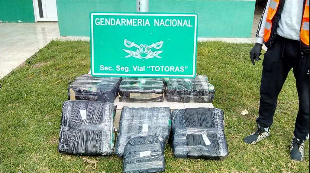 San Genaro: detuvieron un camión que transportaba 60 kilos de hojas de coca | Noticias