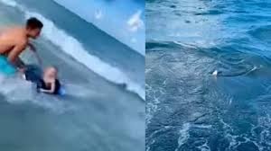 Video: el momento en que un hombre salvó a un nene de ser devorado por un tiburón | Redes