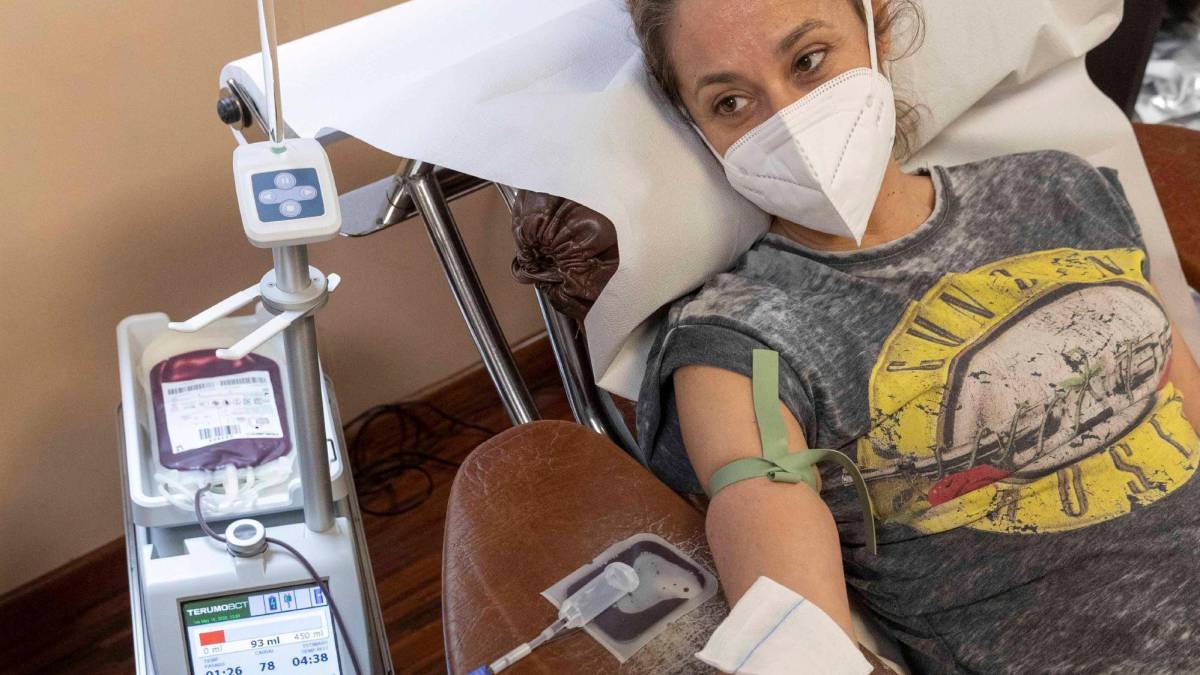 Denuncia de la CHA: "No quieren la sangre ni el plasma de los homosexuales" | Juntos y solidarios