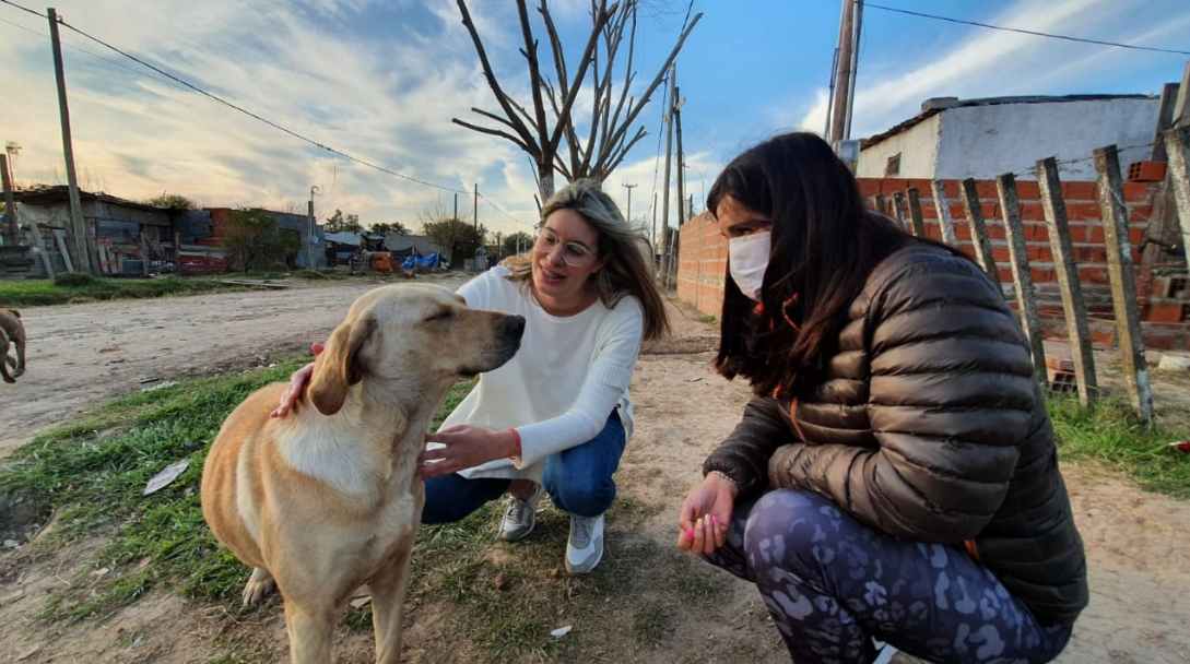 Florencia González propuso crear un canal de denuncia por maltrato animal | Legislativas