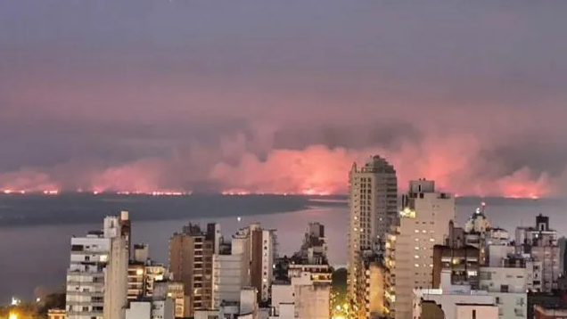 Entre Ríos admitió que la quema de pastizales en las islas se les "fue de las manos" | Noticias